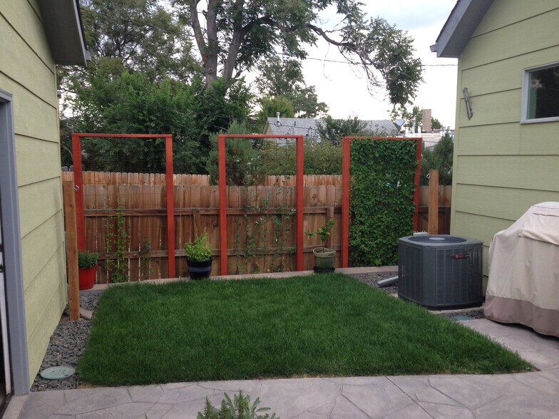 Backyard Lawn and Trellis - 3639 Mariposa Street