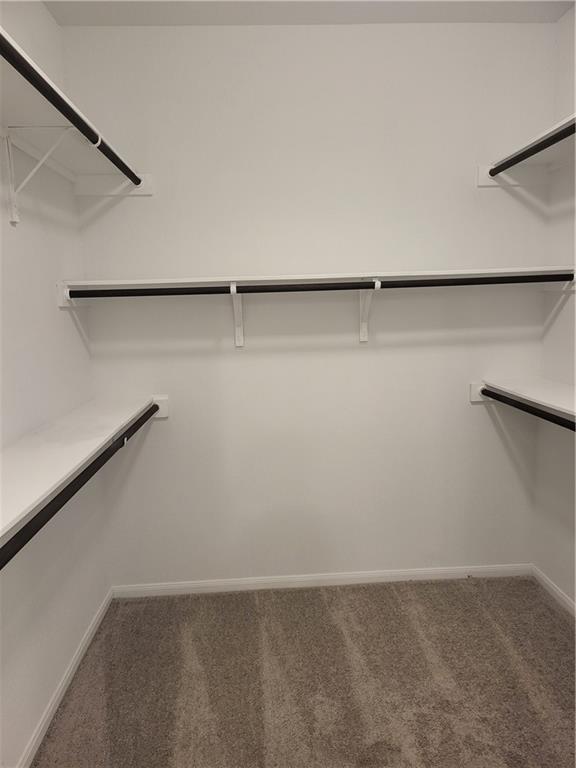 Building Photo - 209 Oldbridge Dr