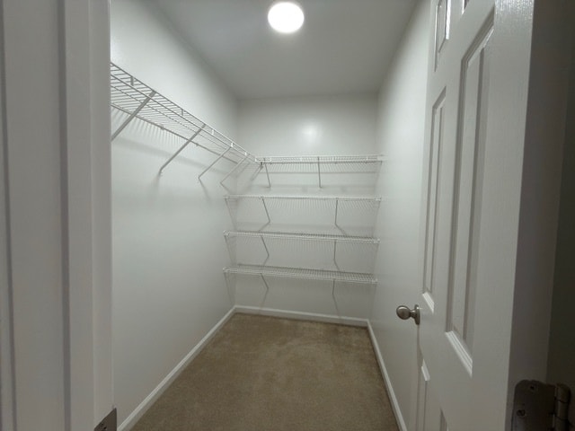 Building Photo - 204 Harbor Haven Dr