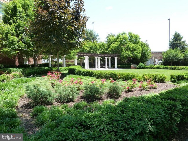 Building Photo - 3 Arch Pl