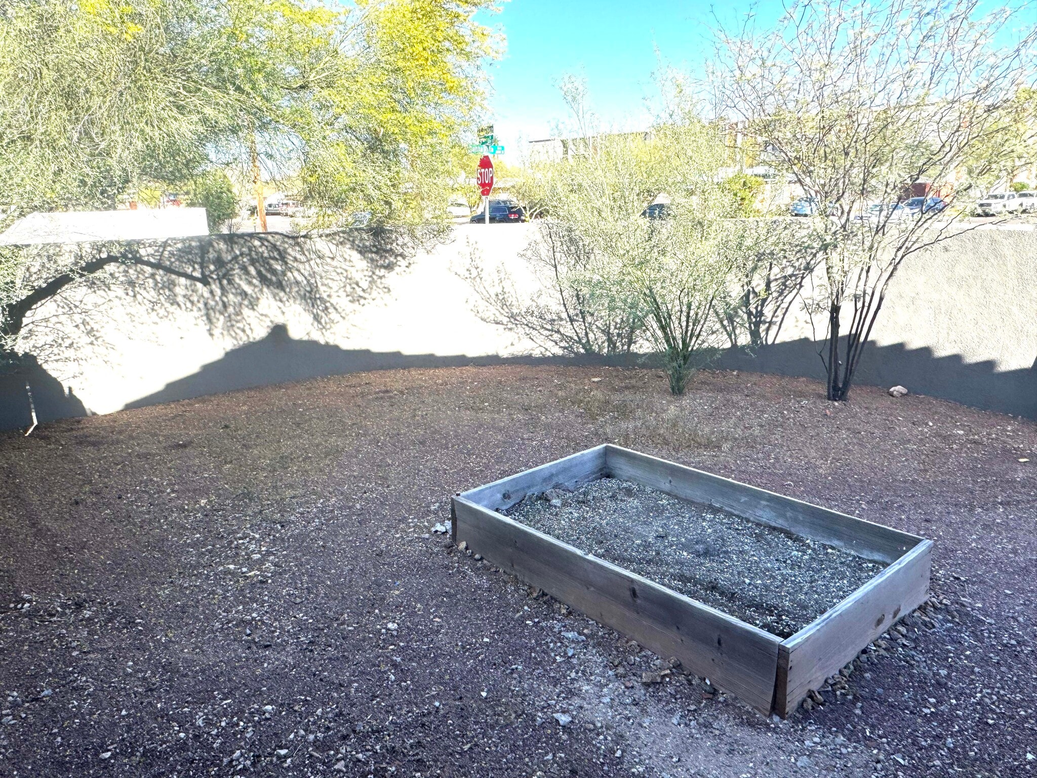 Yard (2) - 198 N Santa Rita Ave