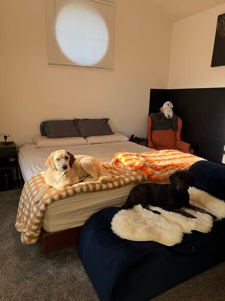 Building Photo - 70 N Main St