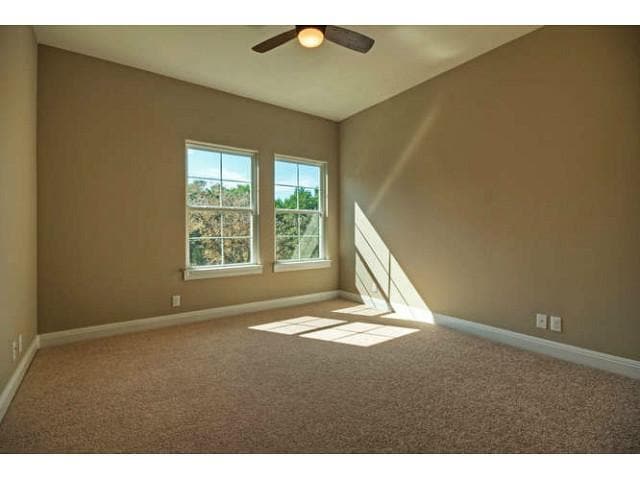 Building Photo - 3315 Minnie St