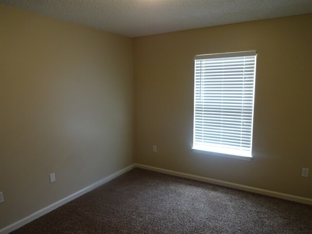 Building Photo - 7893 Steamboat Springs Dr