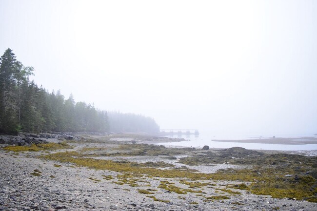 Building Photo - 74 N Deer Isle Rd