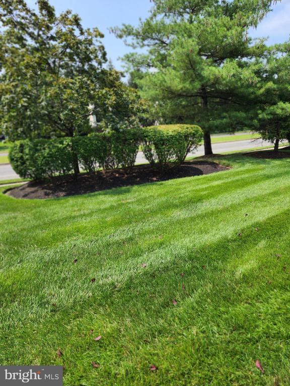 Building Photo - 4003A Saxony Dr