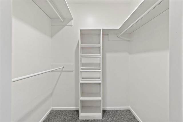 Building Photo - 2909 Conejos Dr