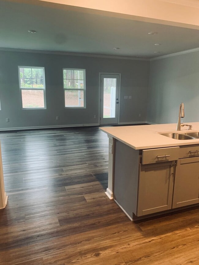 Building Photo - BRAND NEW TOWNHOME! 2 CAR GARAGE. SCREENED IN PORCH. MODERN KITCHEN. OPEN CONCEPT LIVING. BONUS ROOM