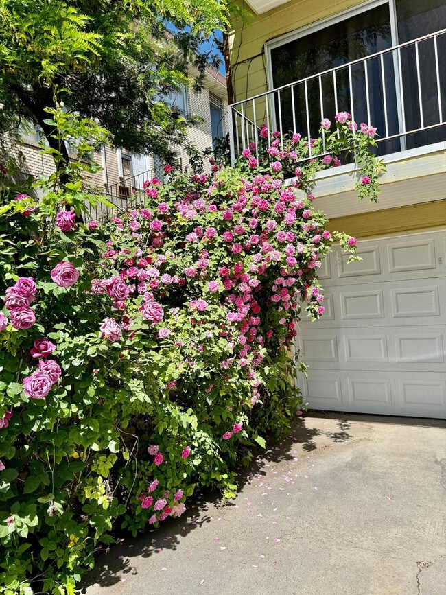 Building Photo - 665 Columbus St E