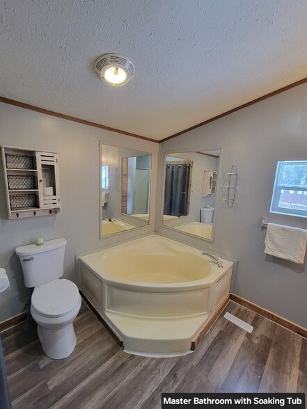 Master Bathroom / Soaking Tub - W6764 Rural Est