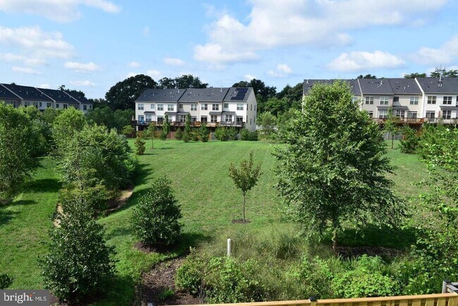 Building Photo - 1135 Carinoso Cir