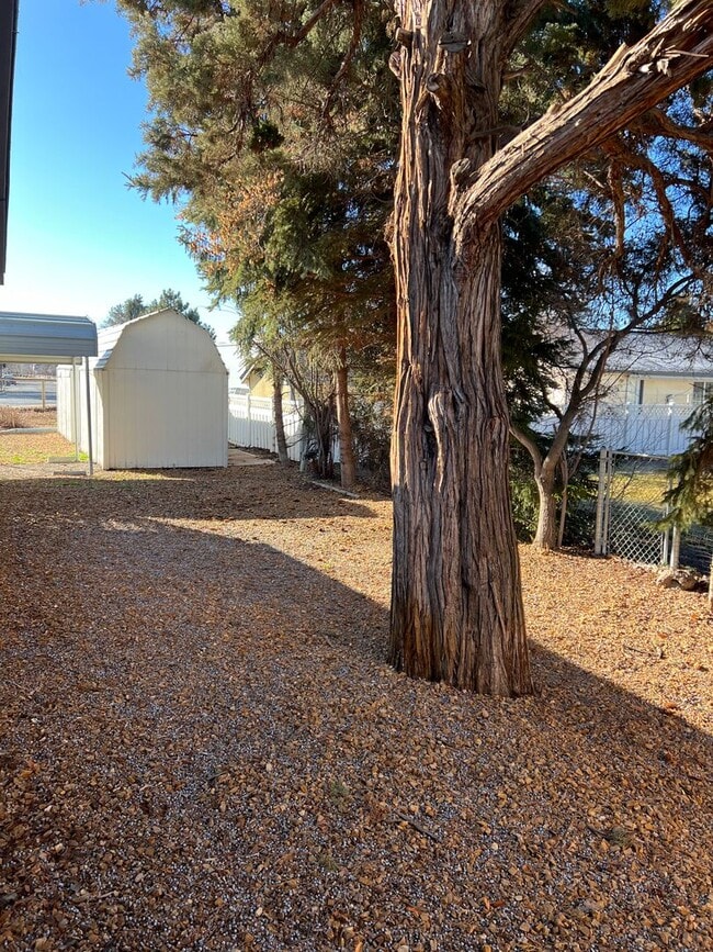 Building Photo - Duplex in SW Redmond