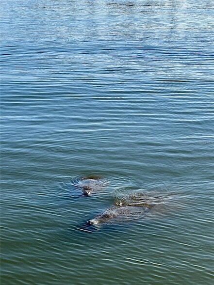 Building Photo - 19029 US Hwy 19 N