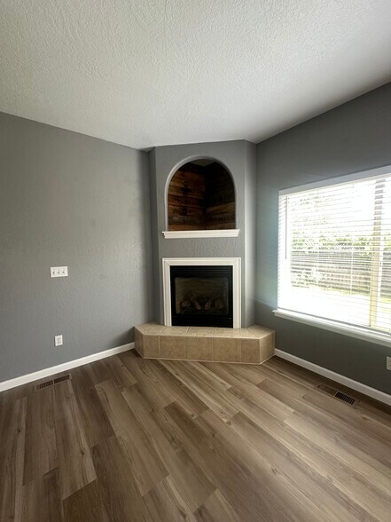 Fire place - 855 Virginia Dr