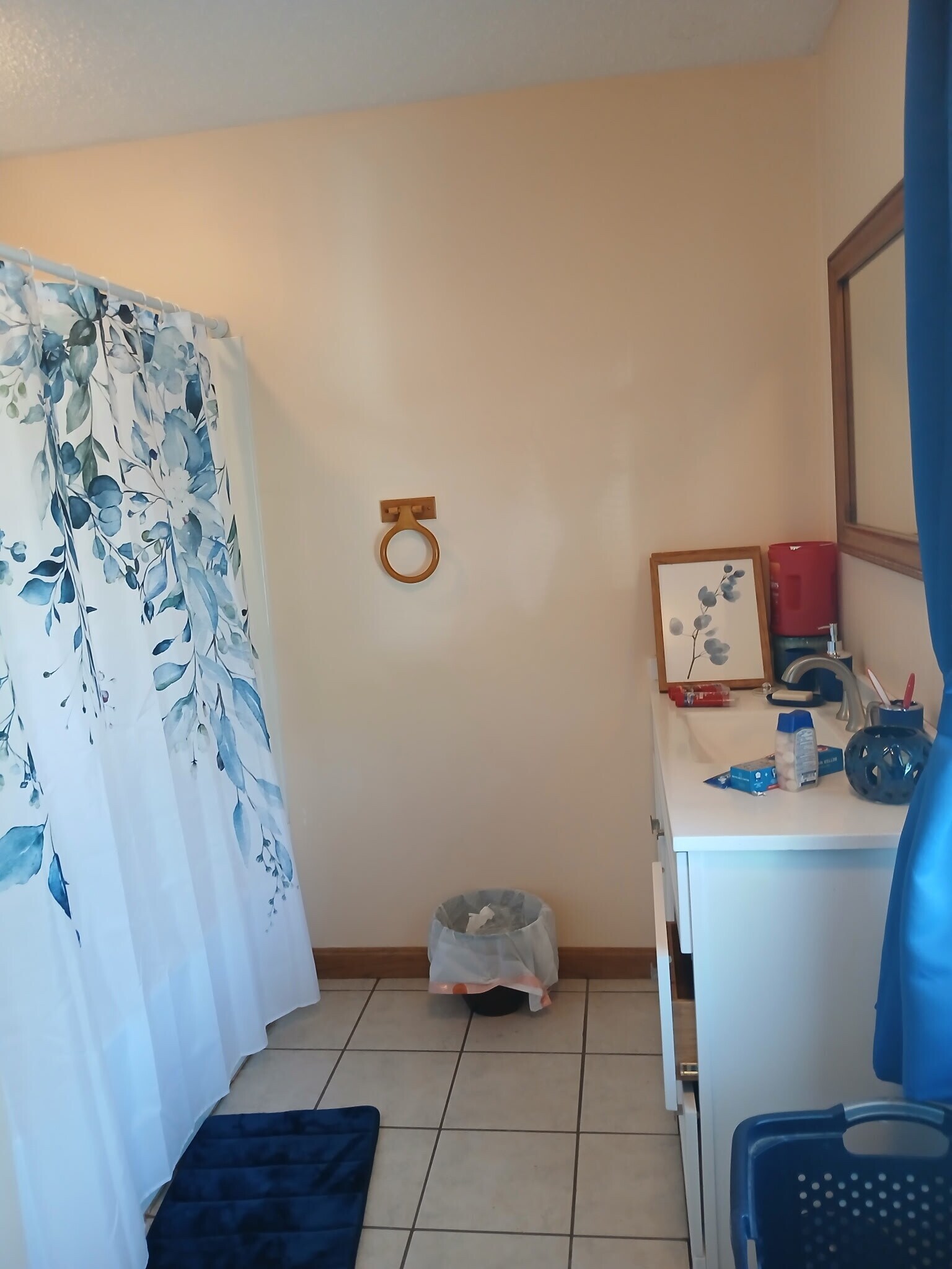 bathroom up stairs - 187 Oakland Rd