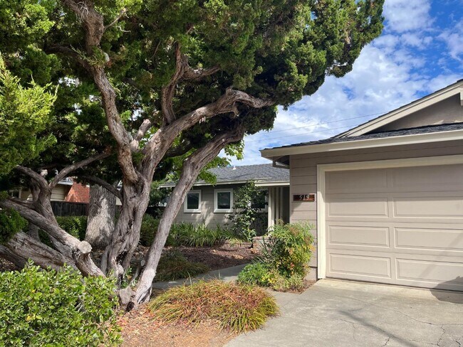 Building Photo - 519 Drucilla Dr