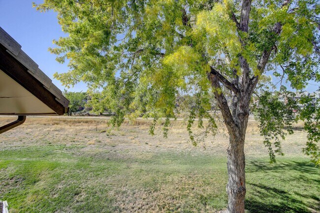 Building Photo - Penthouse level condo with views of canal and trail!