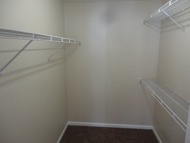 Building Photo - 6300 Willowdell Dr