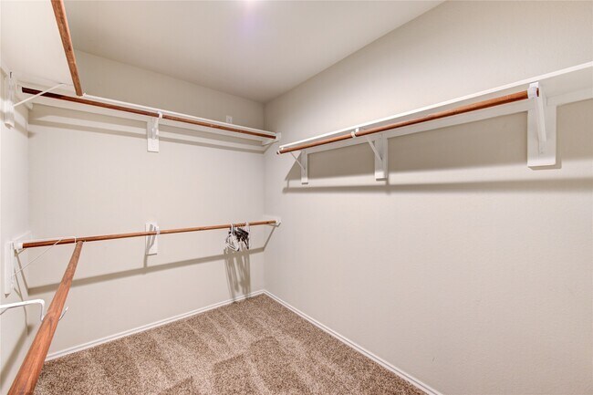 Building Photo - 23627 Eldarica Pine Ct