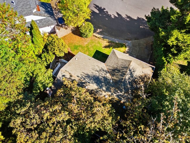 Building Photo - 1107 Meadowview Ct