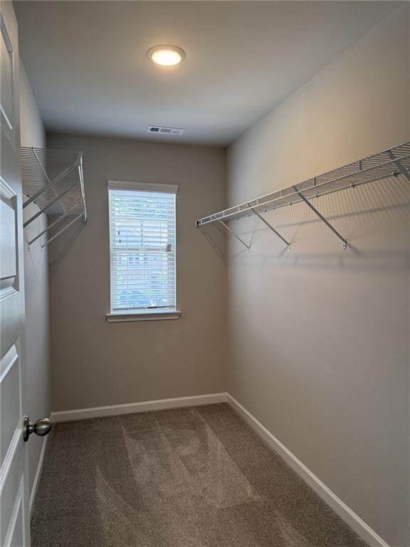 Building Photo - 3619 Cyn Spgs Dr