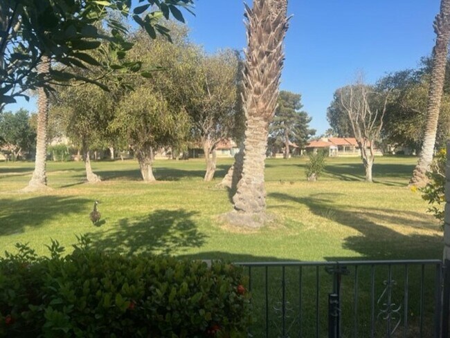 Building Photo - 3 Bed / 2 Bath House at INDIAN PALMS CC** ...