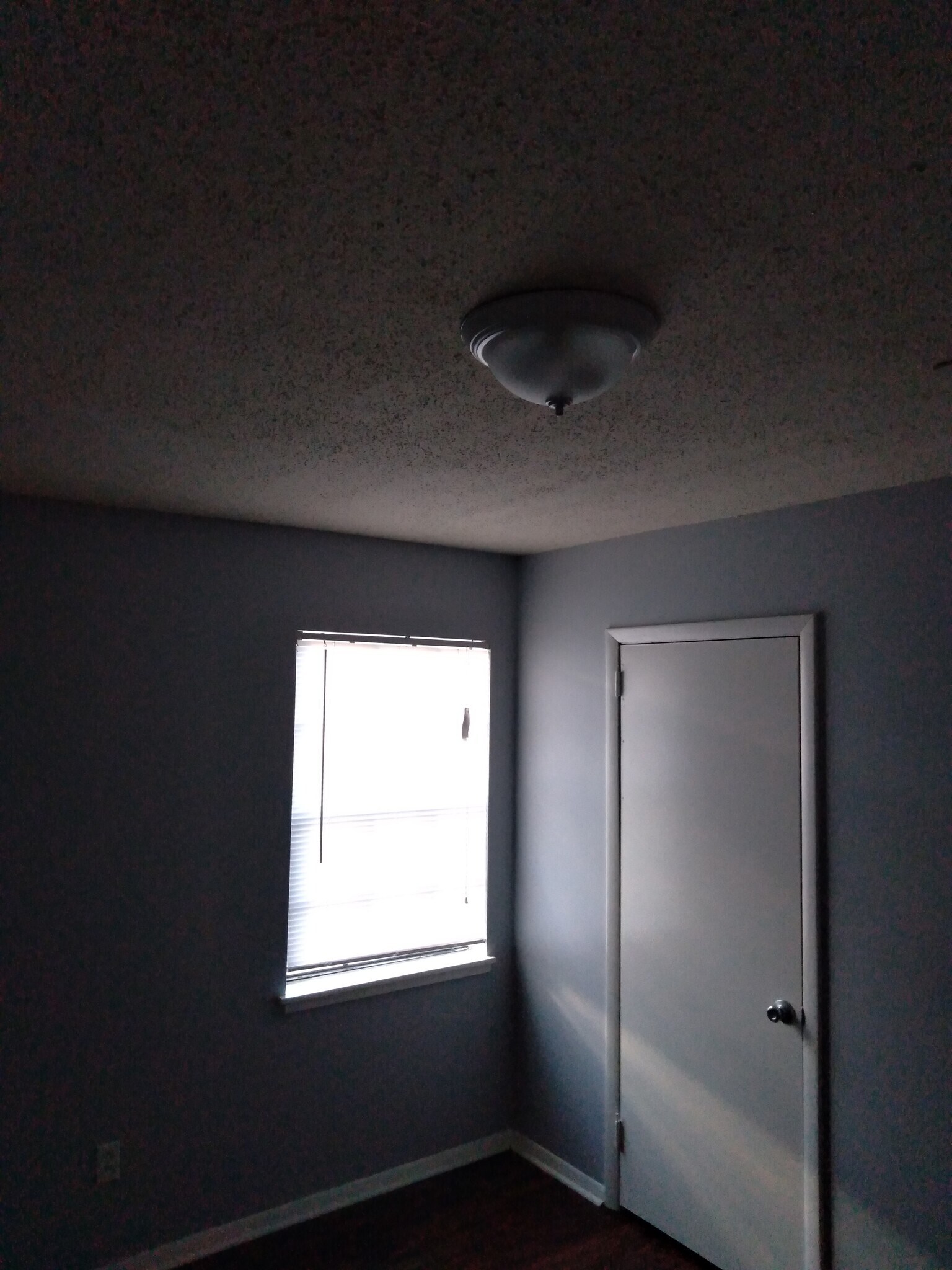New Light Fixtures Throughout - 3009 Avenue W