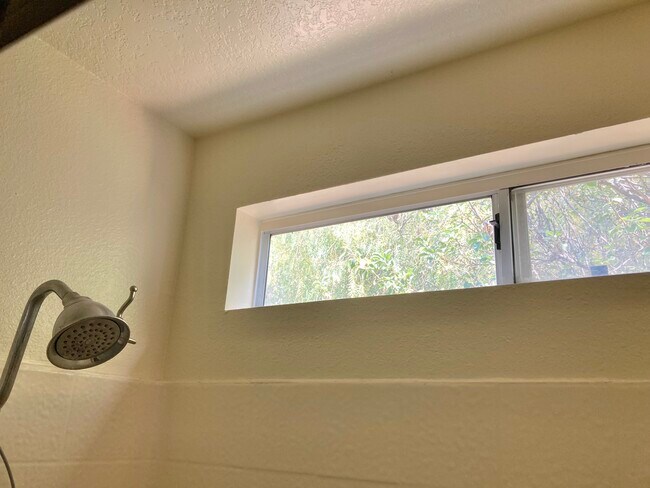 Building Photo - 28605 Forest Meadow Pl