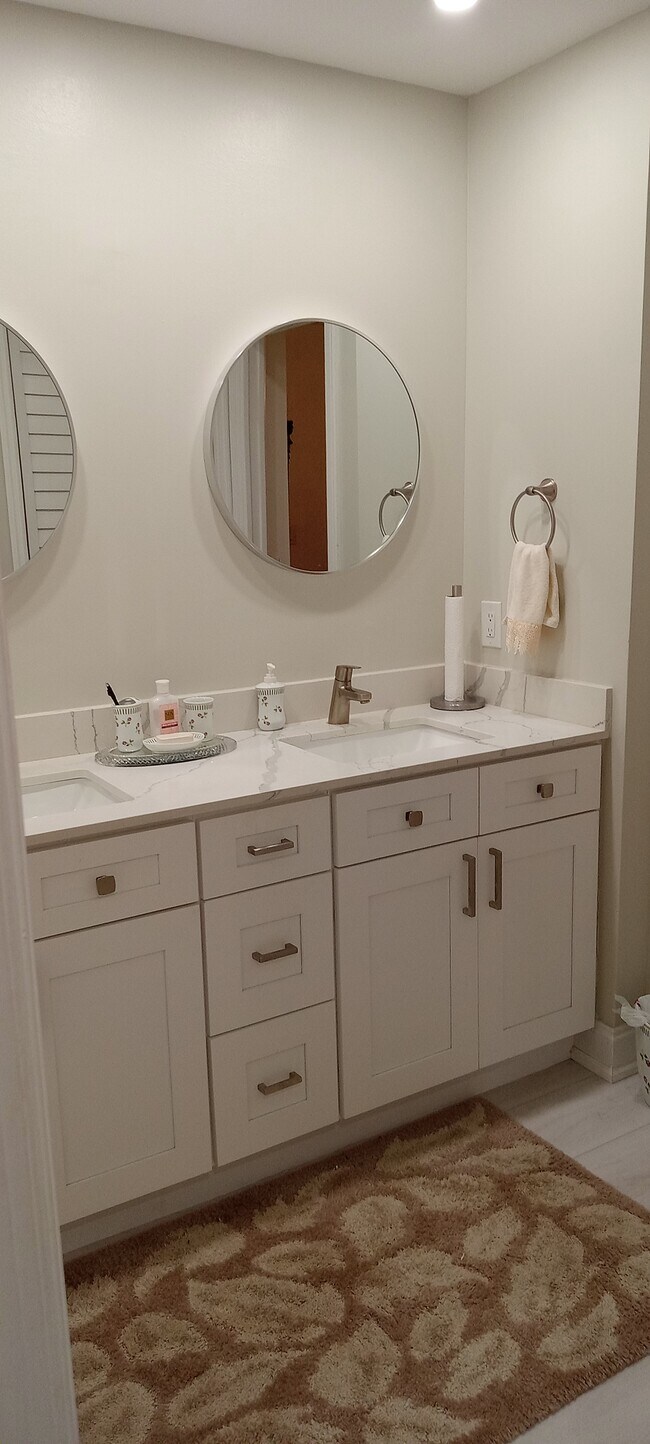 Master bathroom - 1041 Orange Ter