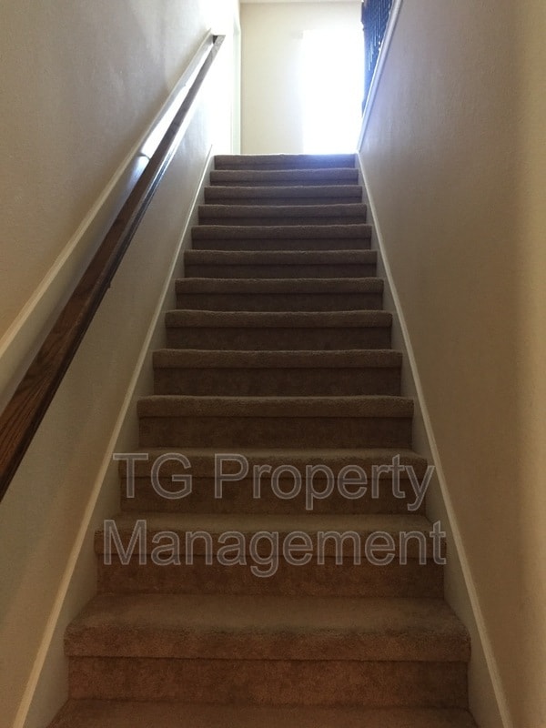 Building Photo - 247 Shetland Dr