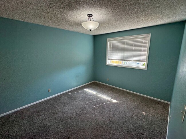 Building Photo - 3 Bedroom House off Harlow Rd.