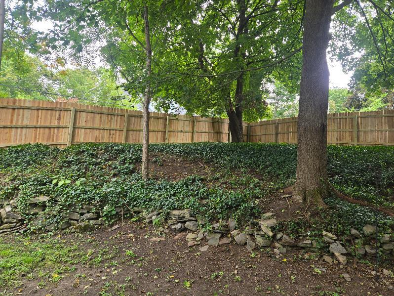 Building Photo - 2101 Bellevue Ave