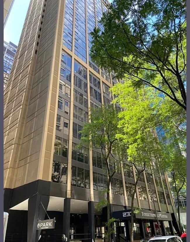 Building Photo - 233 E Erie St