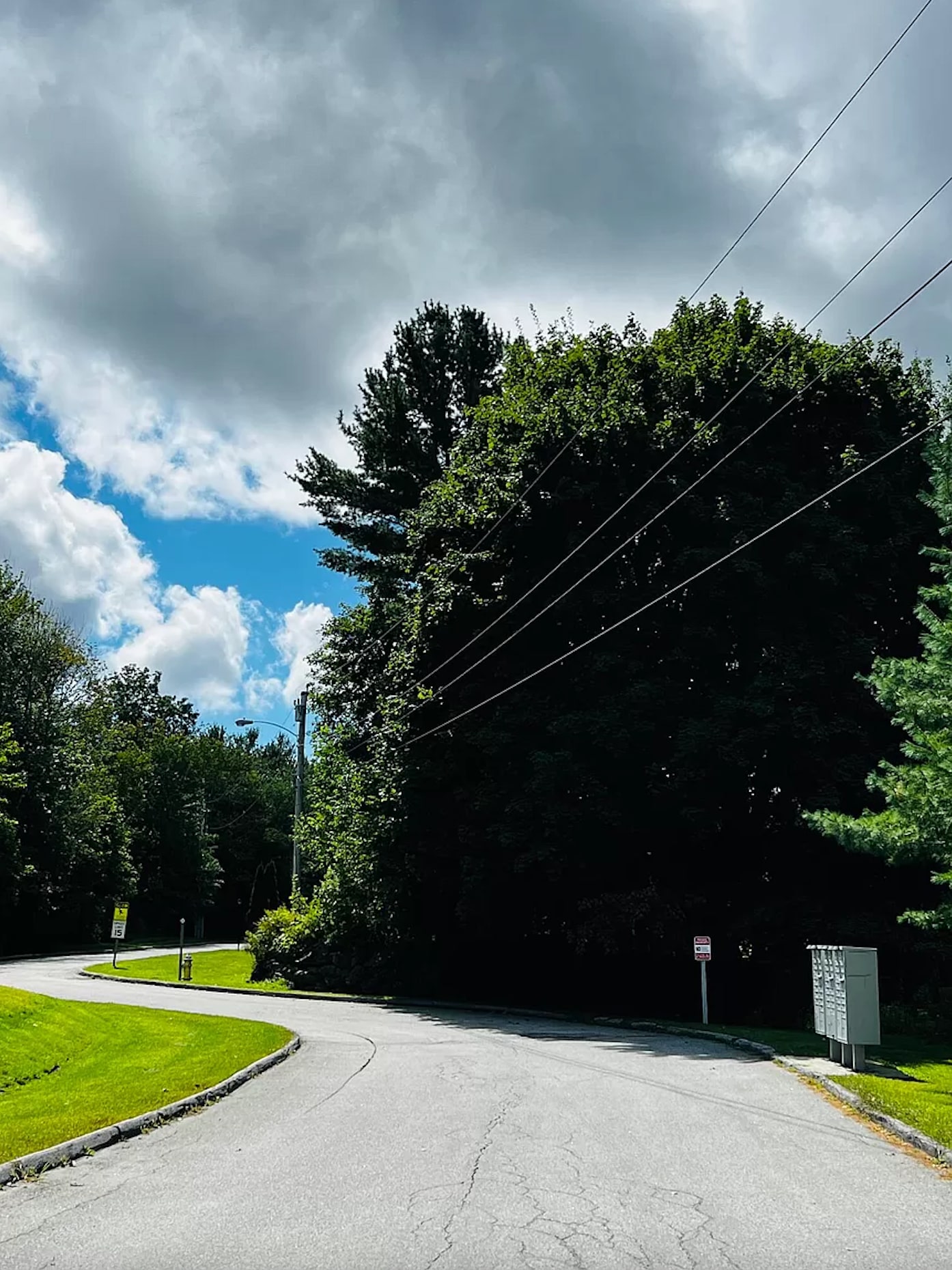 Building Photo - 1434 Ohio St