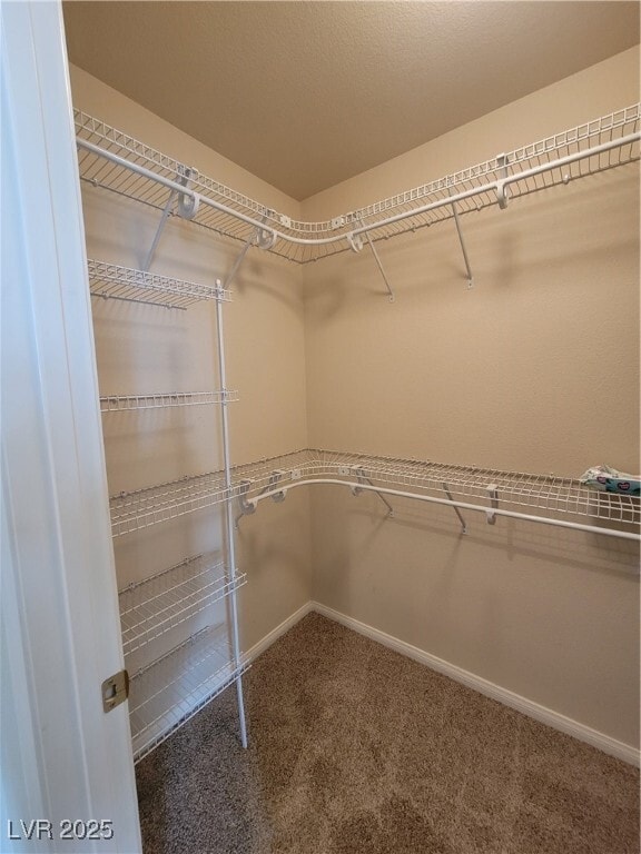 Building Photo - 10650 Timber Stand St