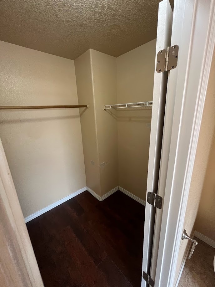 Master BR Closet - 2115 Hermosa Creek Dr SW