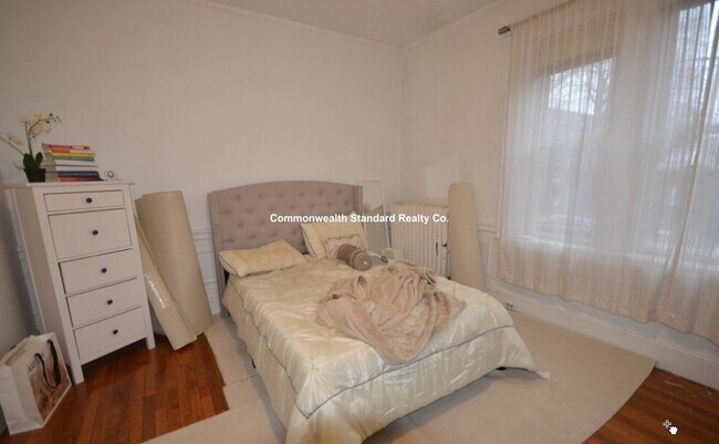 Building Photo - 62 Egmont St