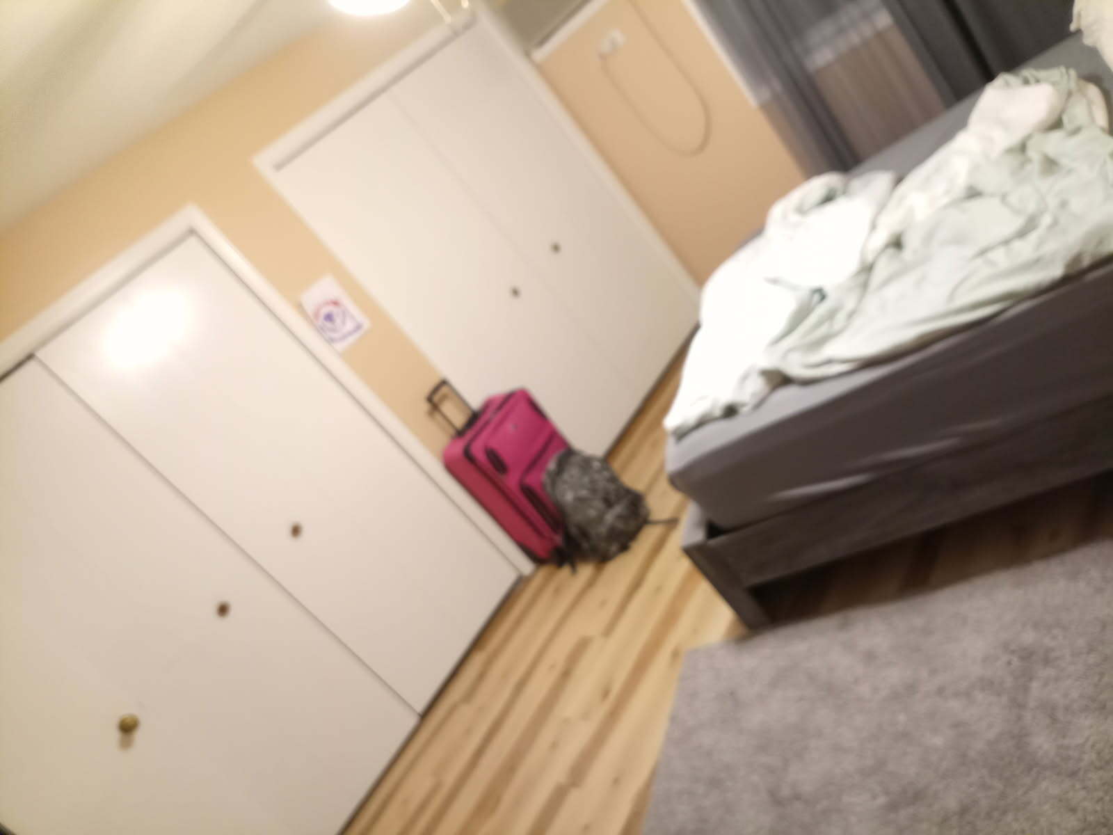 Bedroom - 1225 Whispering Hills Ct