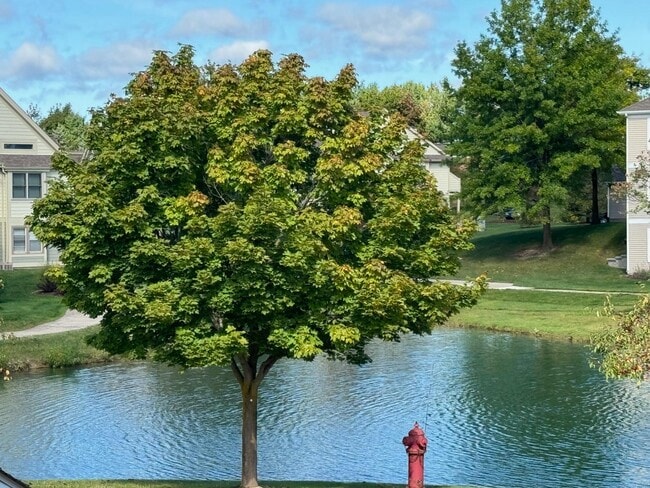 Building Photo - 1567 Weatherstone Dr