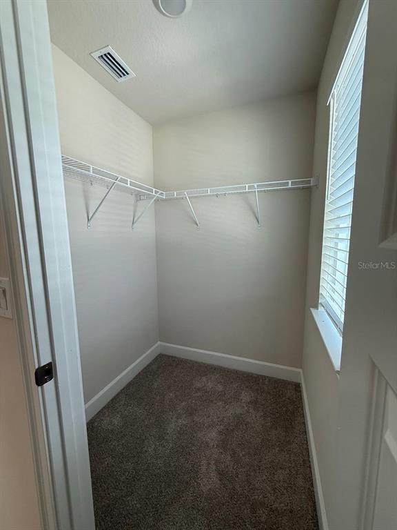 Building Photo - 3828 Sagefield Dr