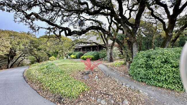 Building Photo - Beautiful 3bd/3ba Home With Vineyard Views!