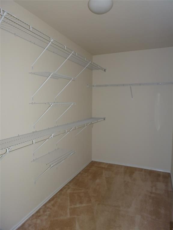 Building Photo - 12410 Serene Elm St
