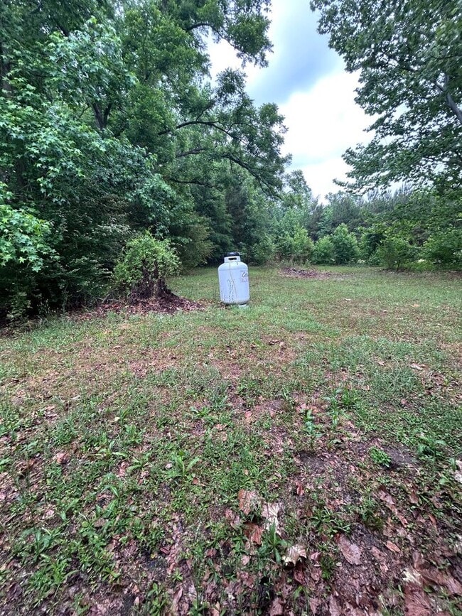 Building Photo - Charming Country Living - 3BR Brick Ranch in Round O