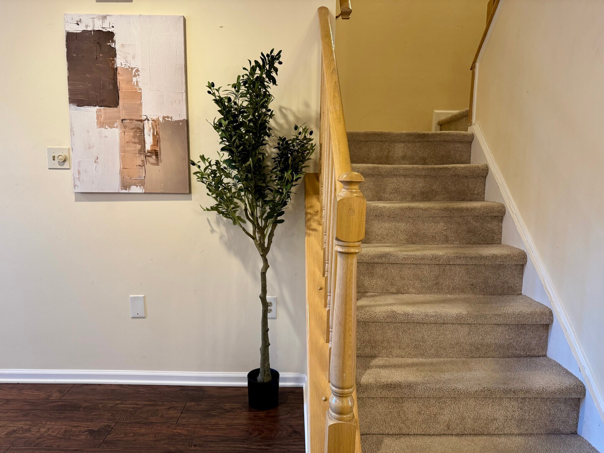 Building Photo - 67 Balboa Ln