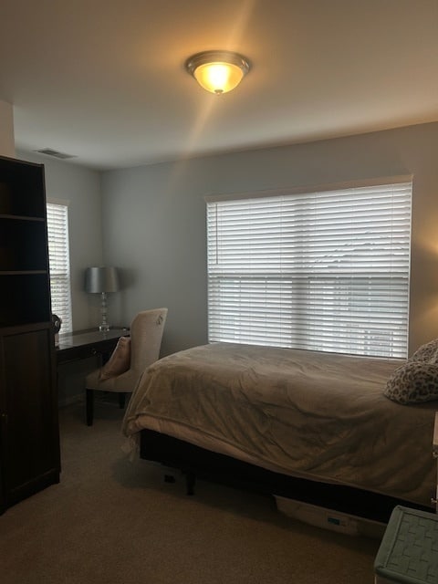 Building Photo - 3021 Serenity Ln