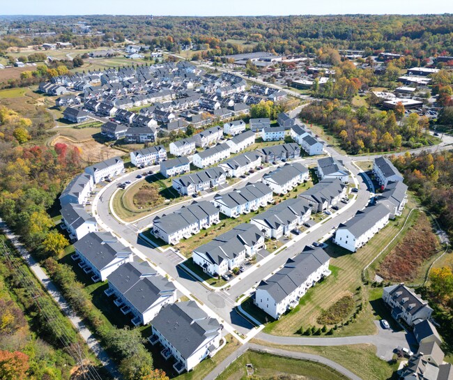 Building Photo - Luxury 3B/3.5B Townhome with Finished Base...