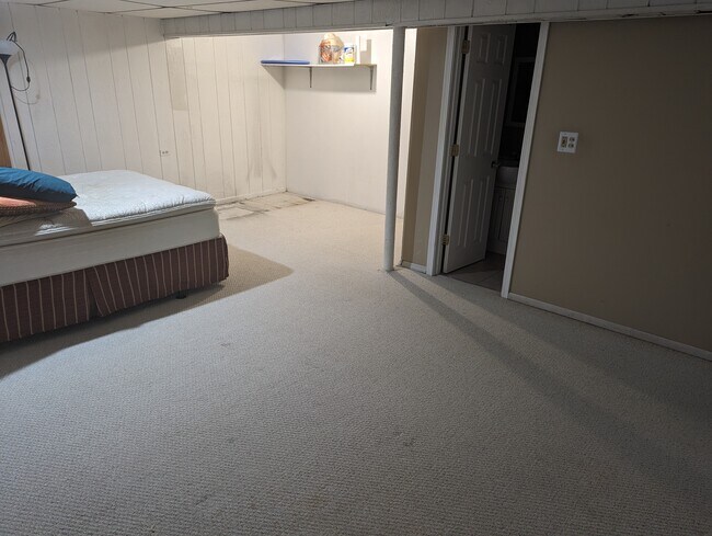 Basement and basement bathroom - 708 Arizona Pass