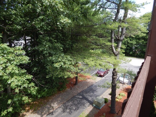 Building Photo - 340 Sunderland Rd