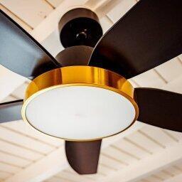 Building Photo - 2506 Bimini Ln