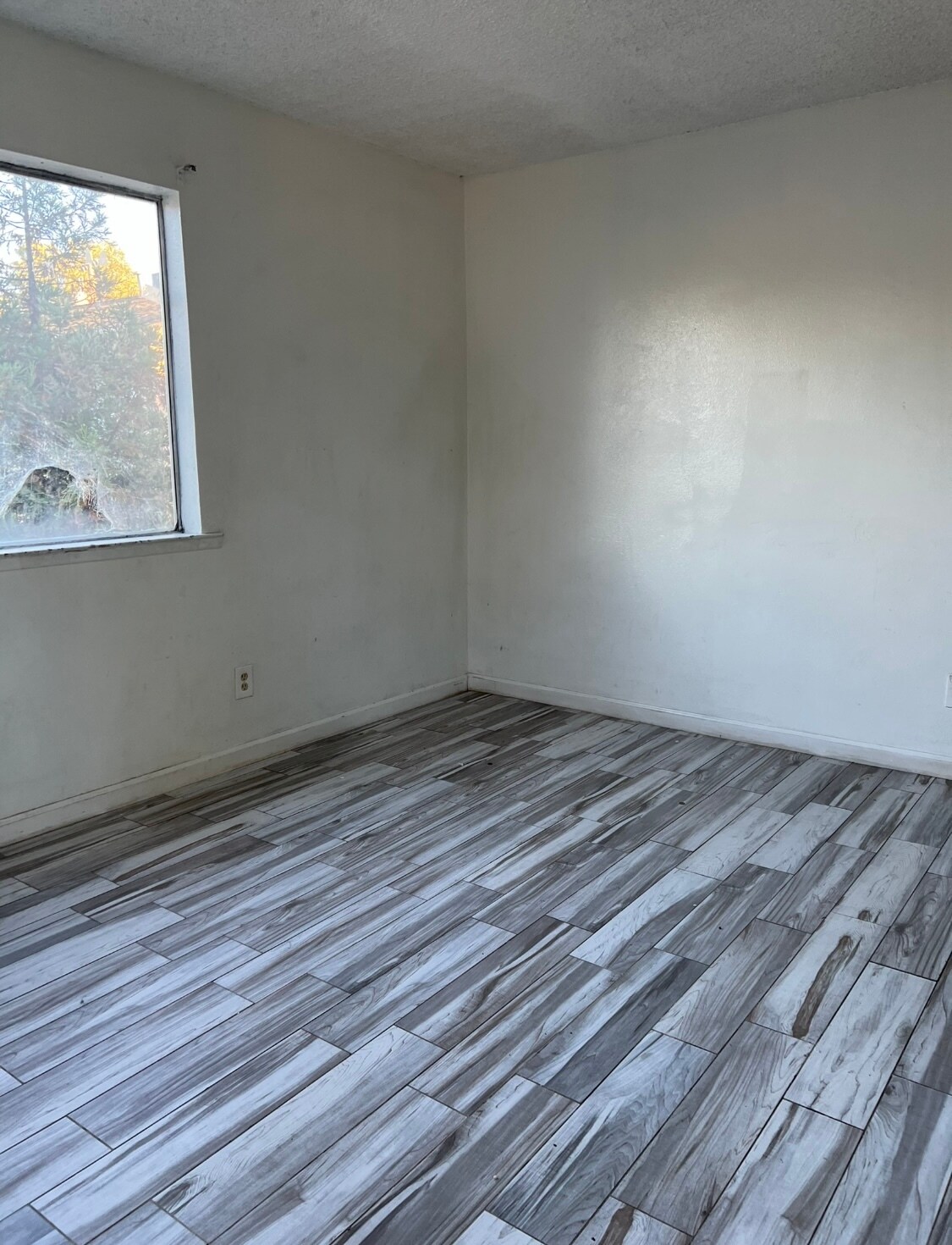 Building Photo - 609 Moore St